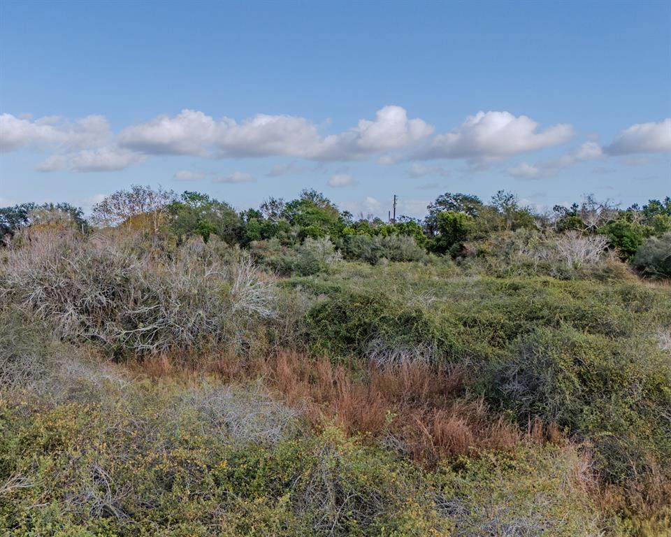 00 Tx-172, La Ward, Texas image 24