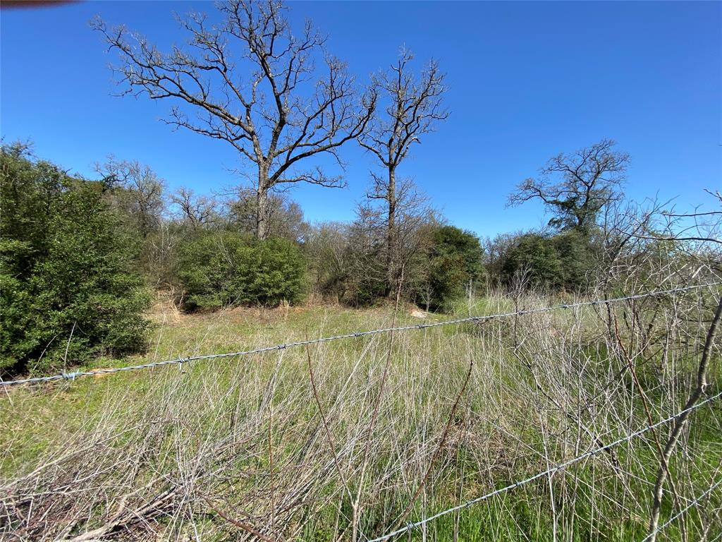 0000 Fm 1644, Calvert, Texas image 9