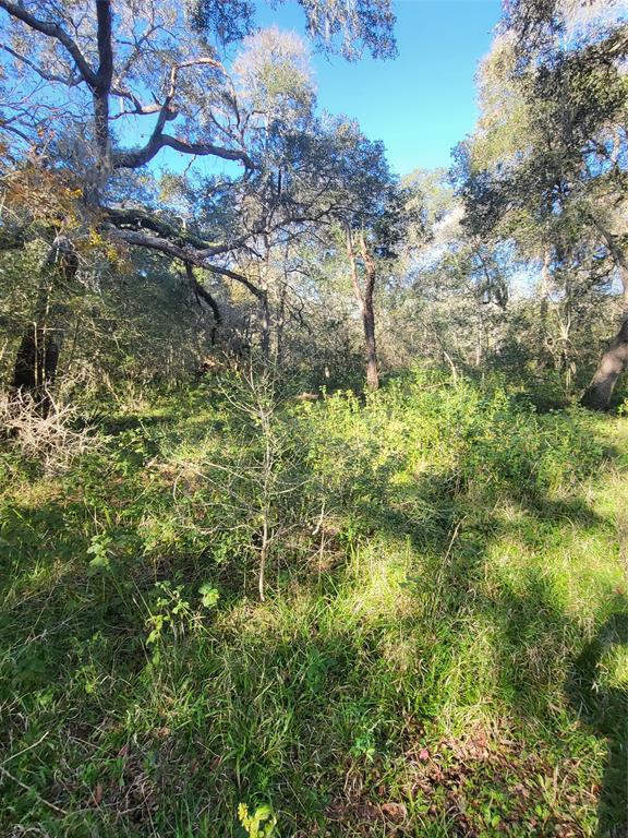 592 Cabana Trail, Angleton, Texas image 9