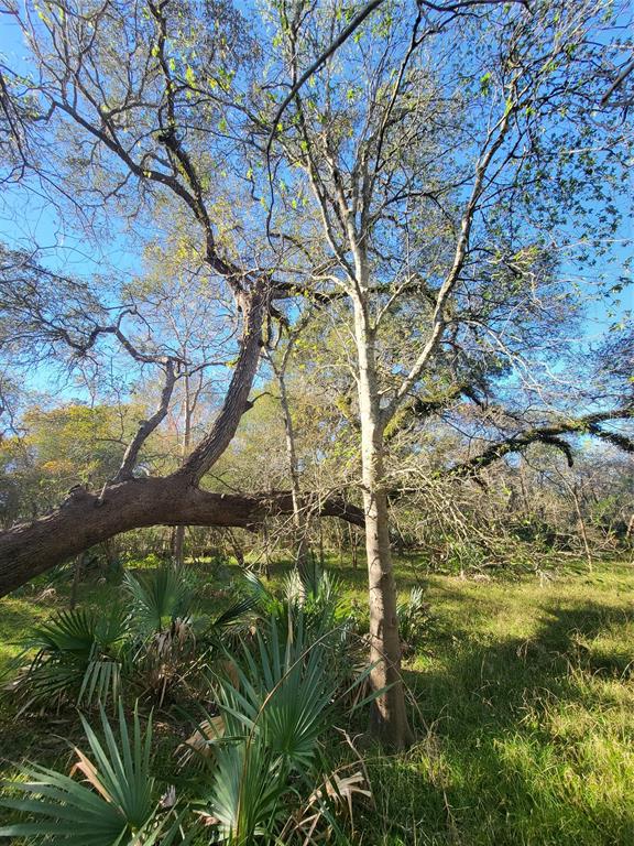 592 Cabana Trail, Angleton, Texas image 14