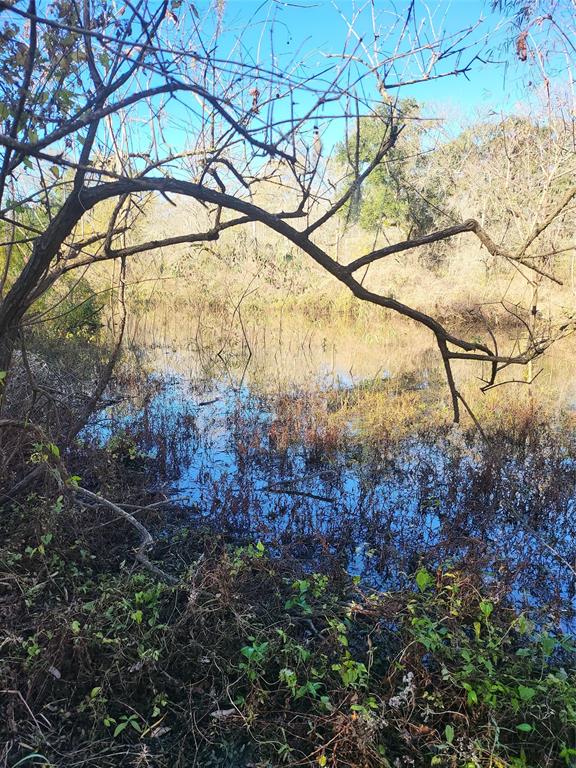 592 Cabana Trail, Angleton, Texas image 16