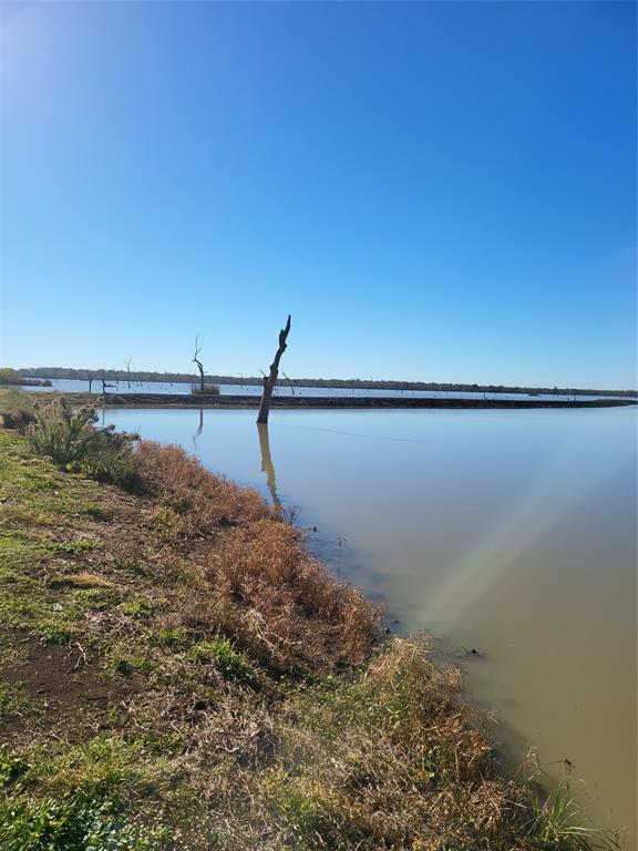 592 Cabana Trail, Angleton, Texas image 29