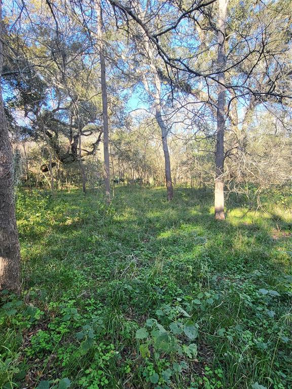 592 Cabana Trail, Angleton, Texas image 11