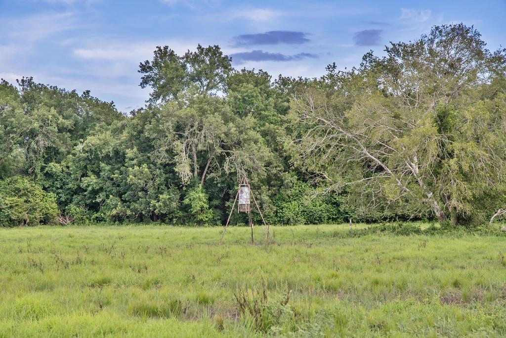 Fm 1822, Edna, Texas image 7