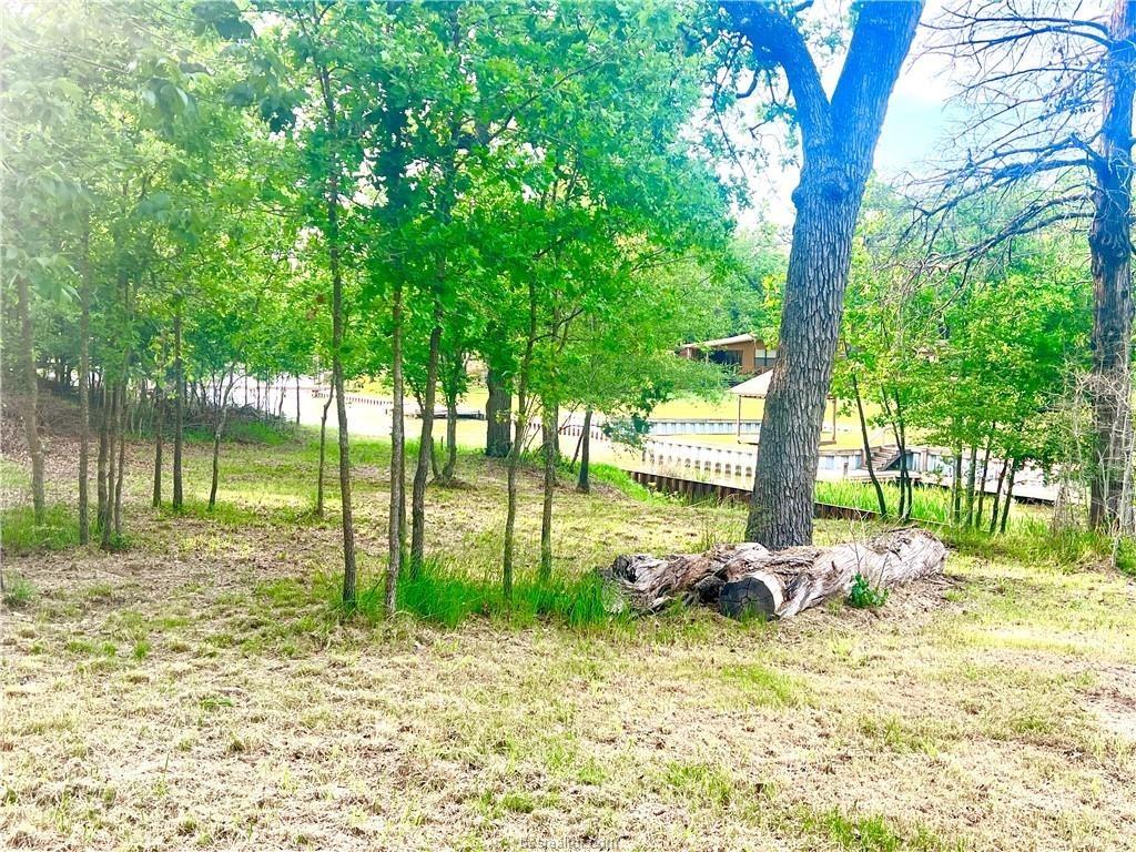 TBD County Road 908, Jewett, Texas image 9