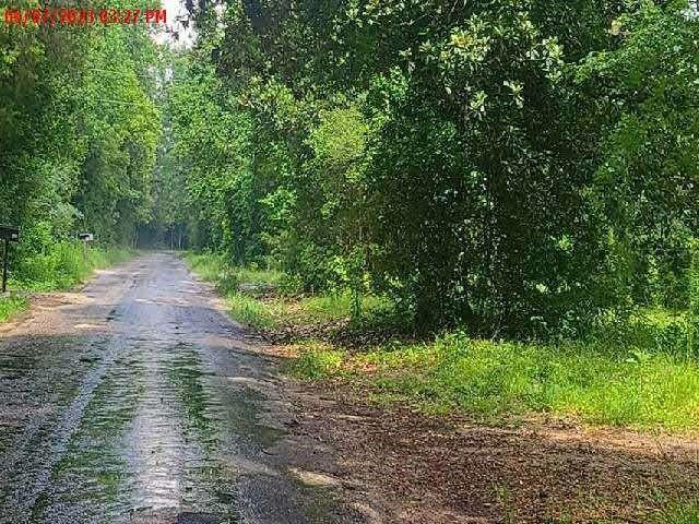 1218 County Road 722, Buna, Texas image 5