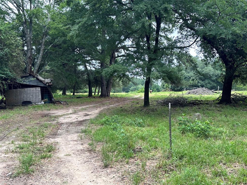 1822 Tx-19, Crockett, Texas image 4