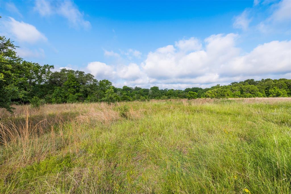 1338 Hwy 237