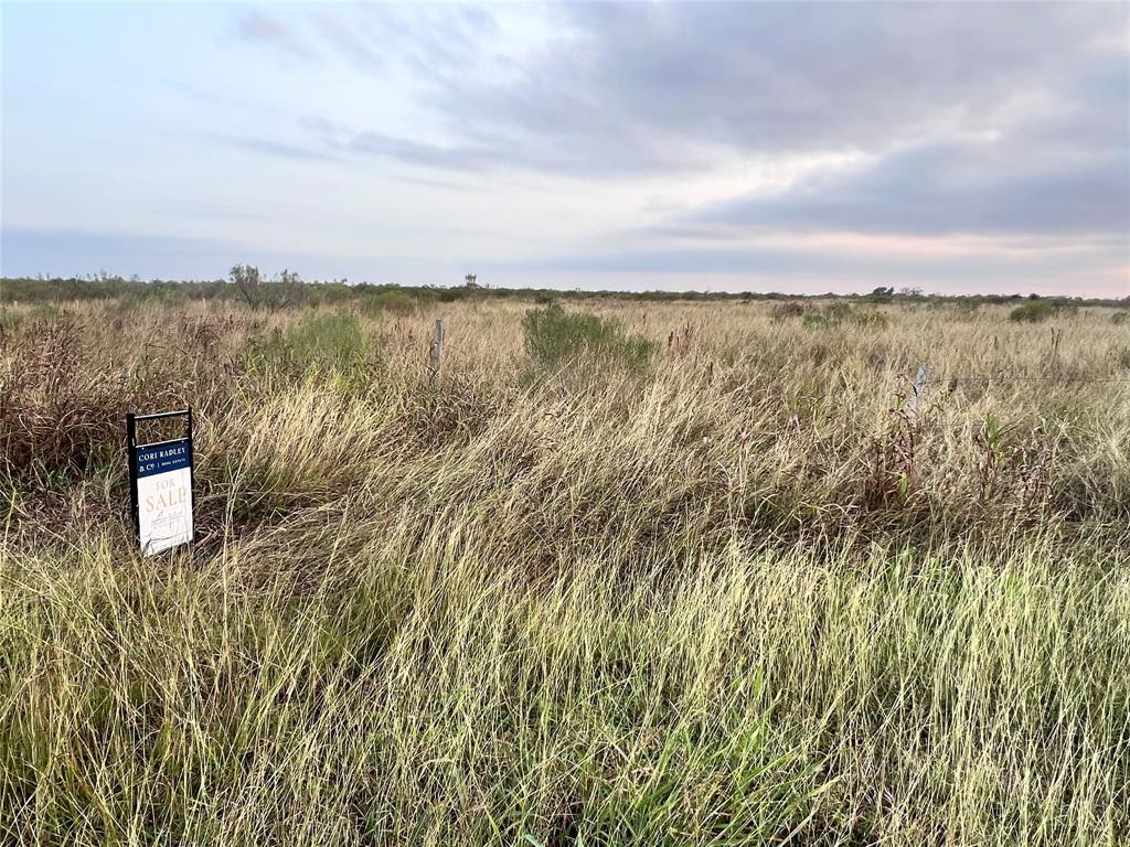 County Road 328, Louise, Texas image 3