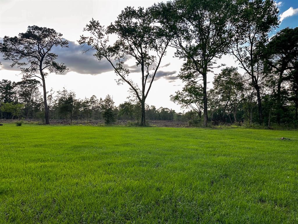 TBD I-45 Feeder Road, New Waverly, Texas image 31