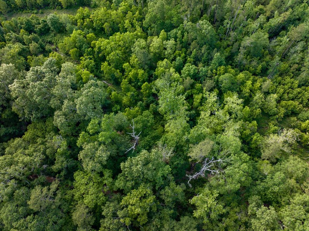TBD I-45 Feeder Road, New Waverly, Texas image 22