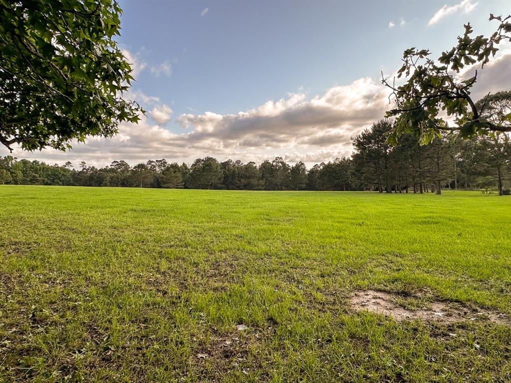 TBD I-45 Feeder Road, New Waverly, Texas image 29