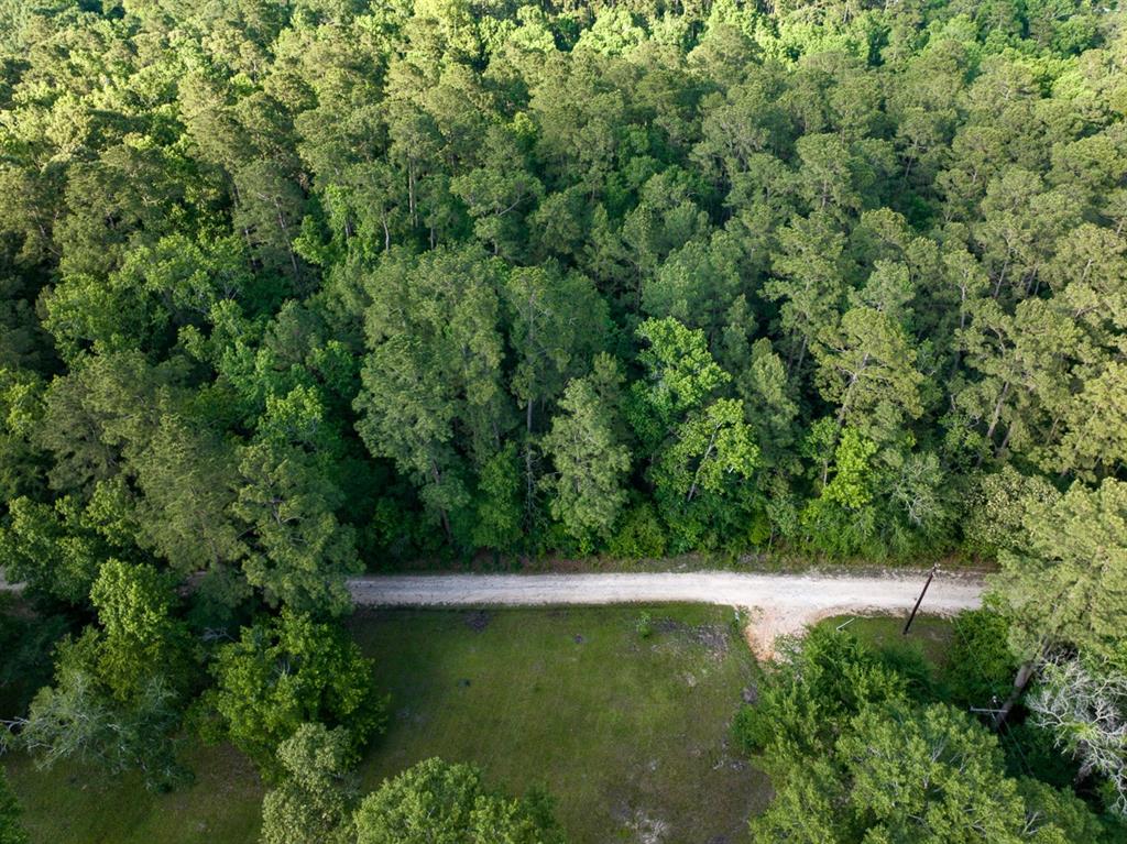 TBD I-45 Feeder Road, New Waverly, Texas image 25