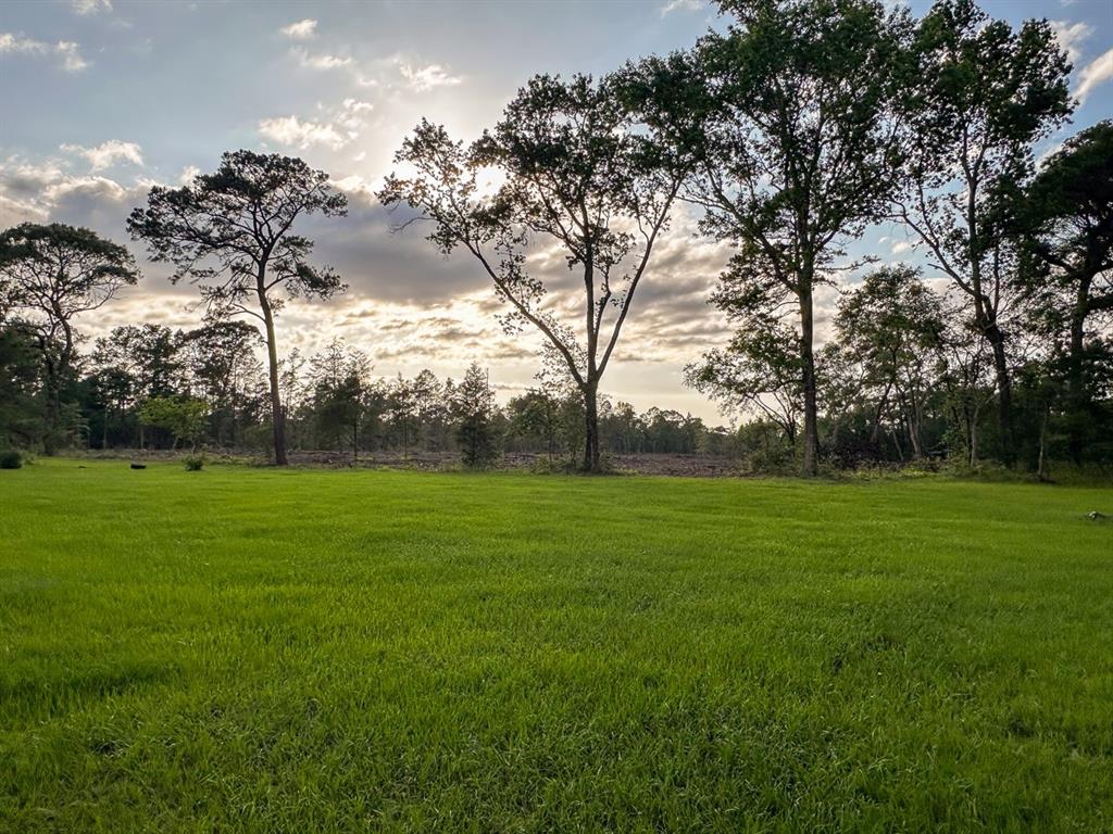 TBD I-45 Feeder Road, New Waverly, Texas image 30