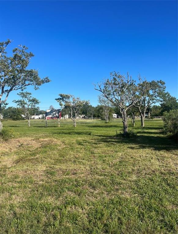 10th Street, San Leon, Texas image 1