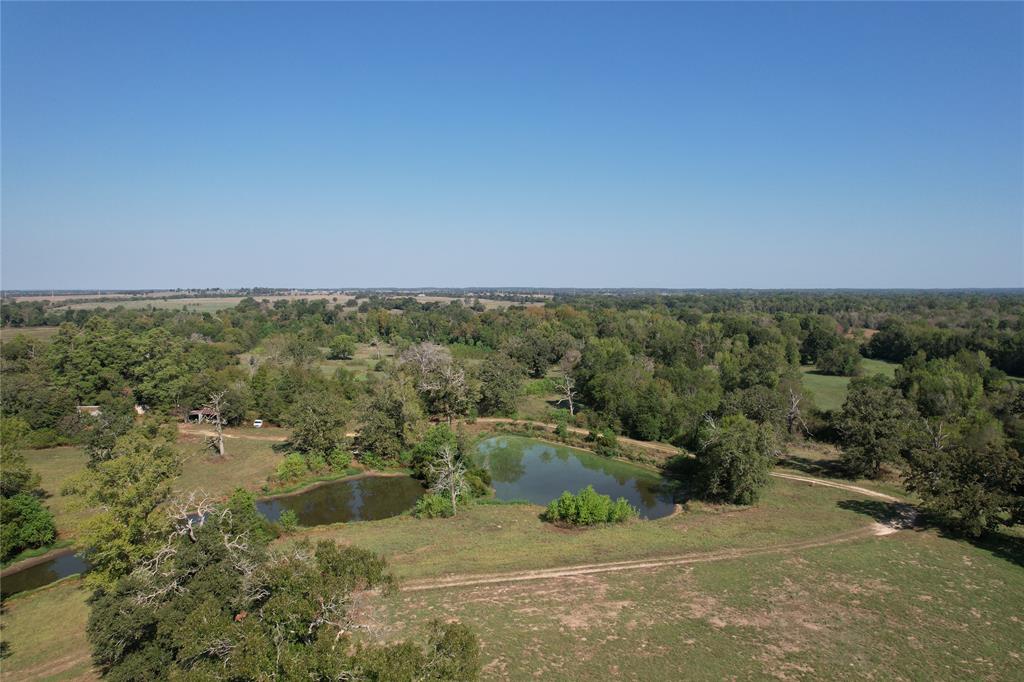 879 County Road 3390, Crockett, Texas image 5