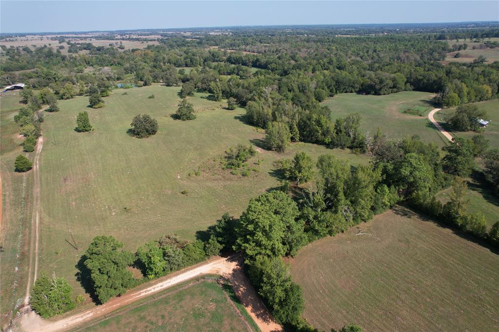 879 County Road 3390, Crockett, Texas image 7