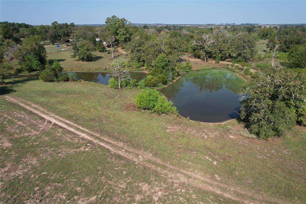 879 County Road 3390, Crockett, Texas image 1