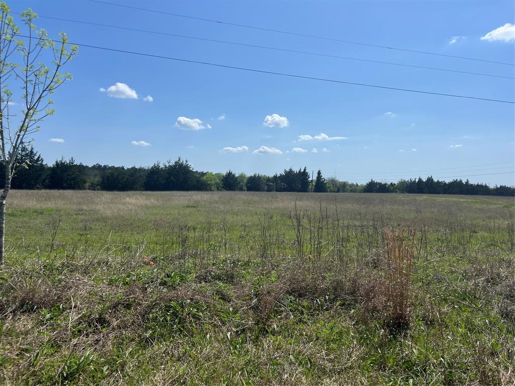 Lot #7 Fm 2562 Road, Anderson, Texas image 5