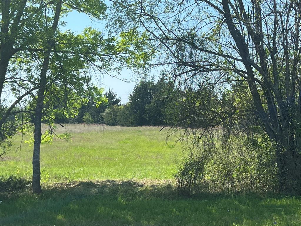 Lot #7 Fm 2562 Road, Anderson, Texas image 1
