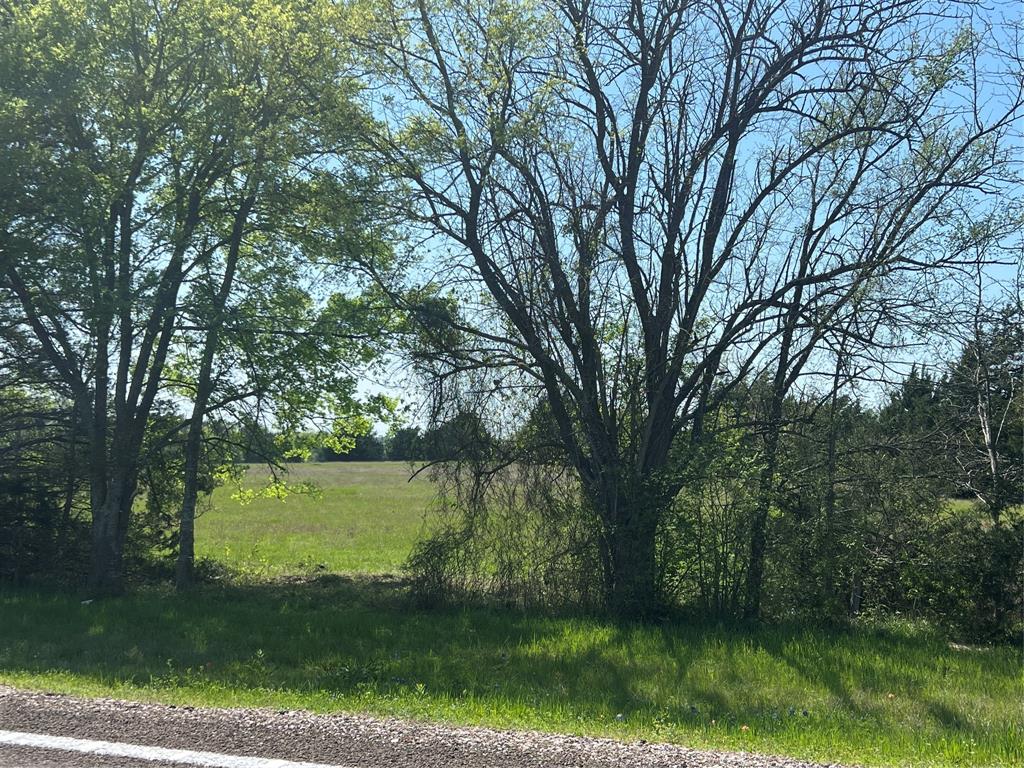 Lot #7 Fm 2562 Road, Anderson, Texas image 2