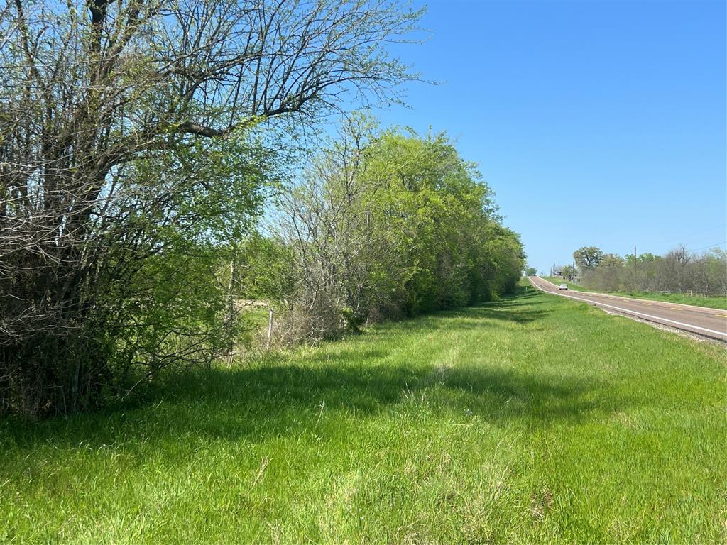 Lot #7 Fm 2562 Road, Anderson, Texas image 7