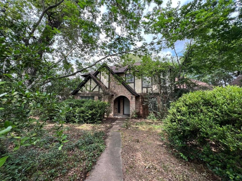18818 Whitewood Drive, Spring, Texas image 4