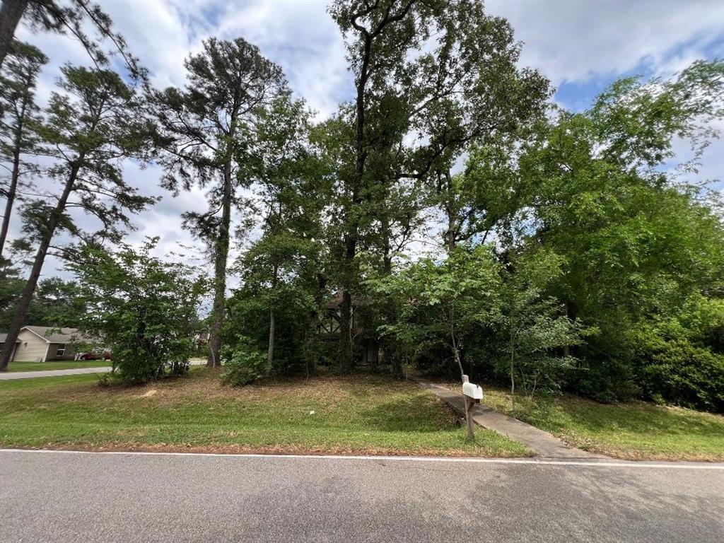 18818 Whitewood Drive, Spring, Texas image 2