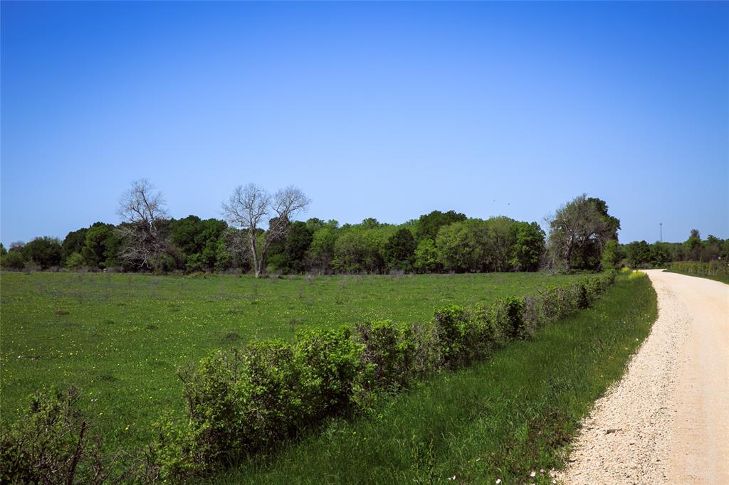 TRACT 2 Chadwick Hogan Rd, Chappell Hill, Texas image 31