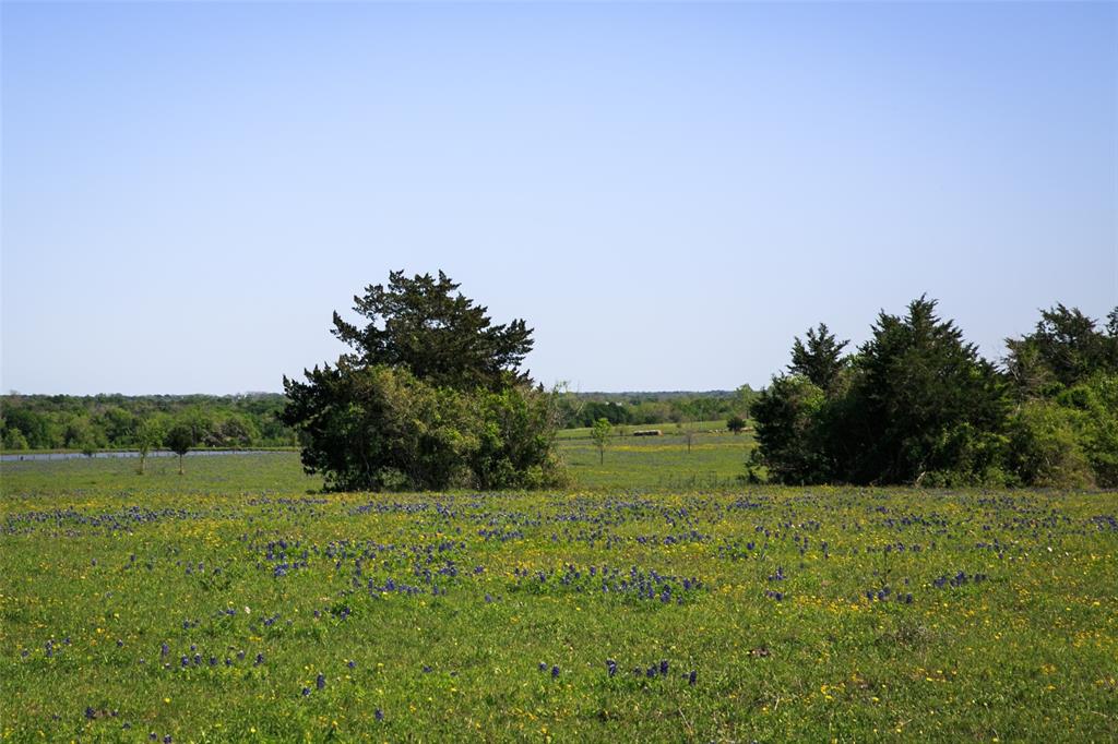 TRACT 2 Chadwick Hogan Rd, Chappell Hill, Texas image 11