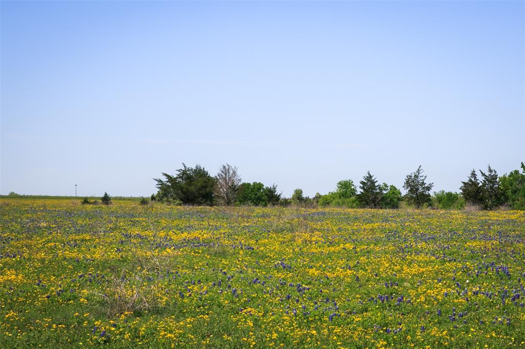 TRACT 2 Chadwick Hogan Rd, Chappell Hill, Texas image 8