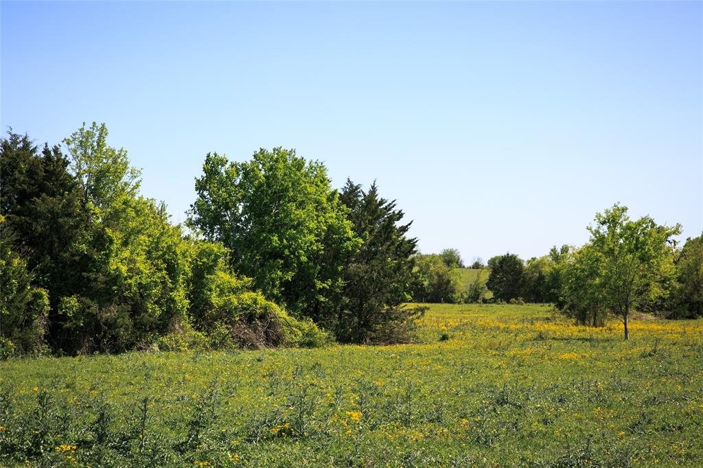 TRACT 2 Chadwick Hogan Rd, Chappell Hill, Texas image 7