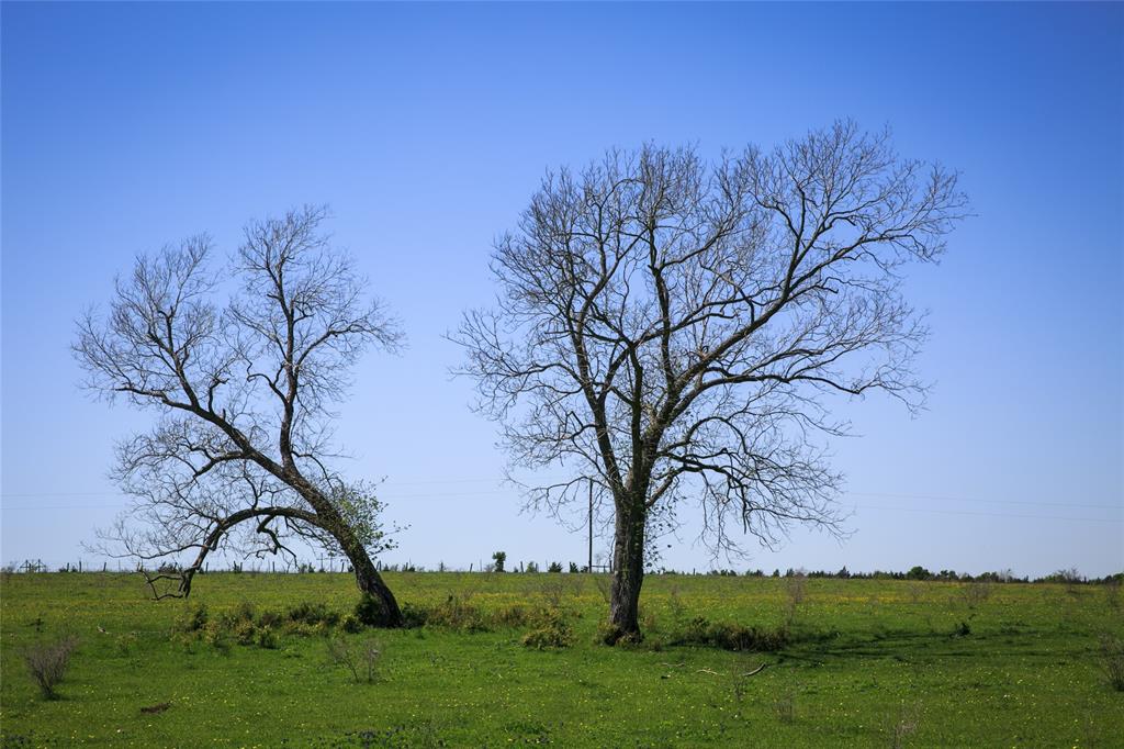 TRACT 2 Chadwick Hogan Rd, Chappell Hill, Texas image 28