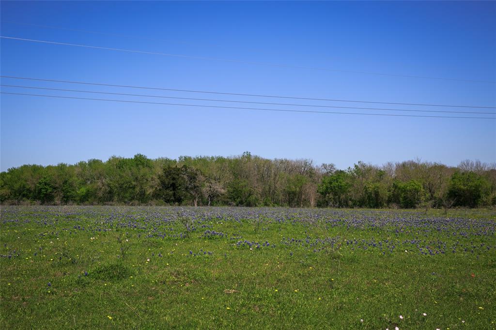 TRACT 2 Chadwick Hogan Rd, Chappell Hill, Texas image 33