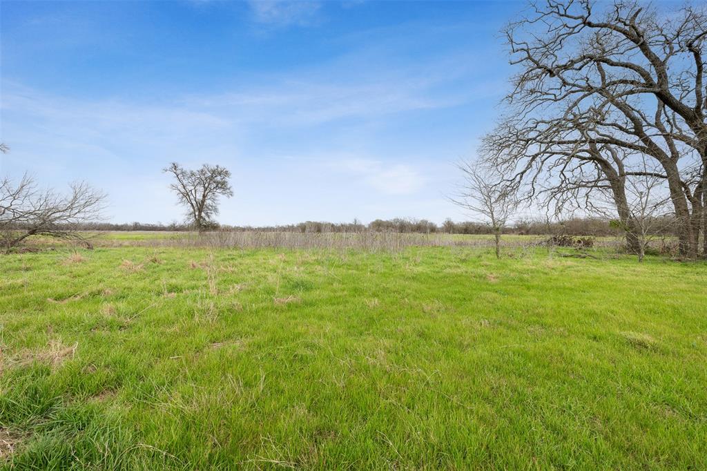 TBD Fm 413, Marlin, Texas image 9