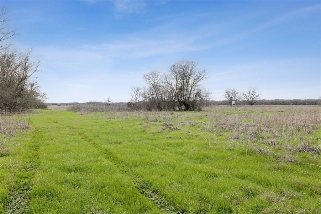 TBD Fm 413, Marlin, Texas image 3