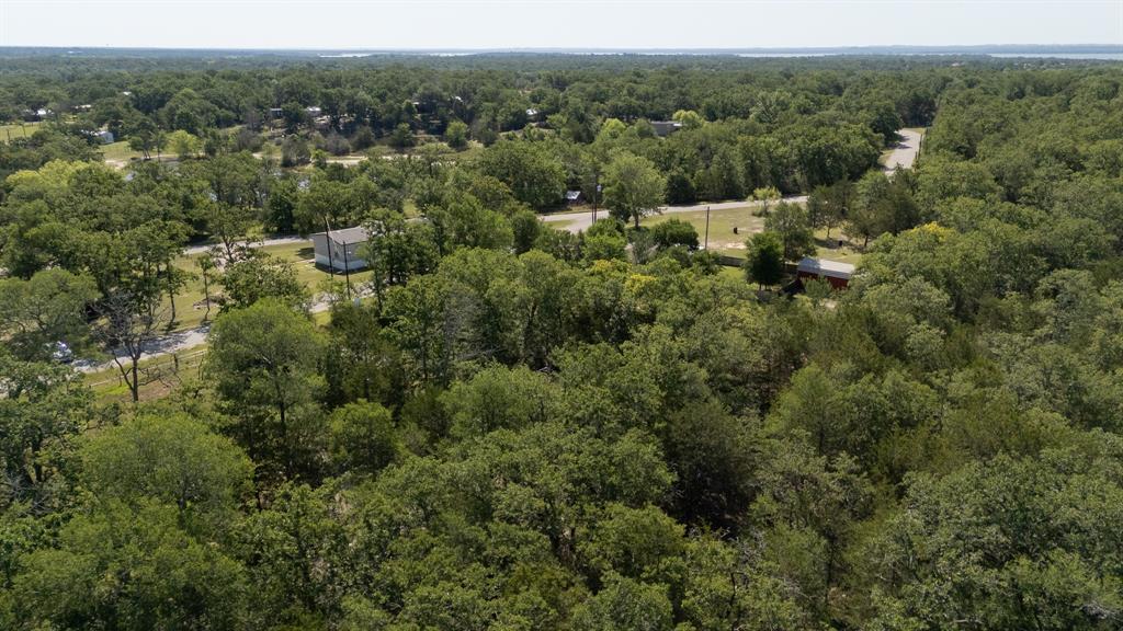 TBD Hill Loop Road, Somerville, Texas image 6