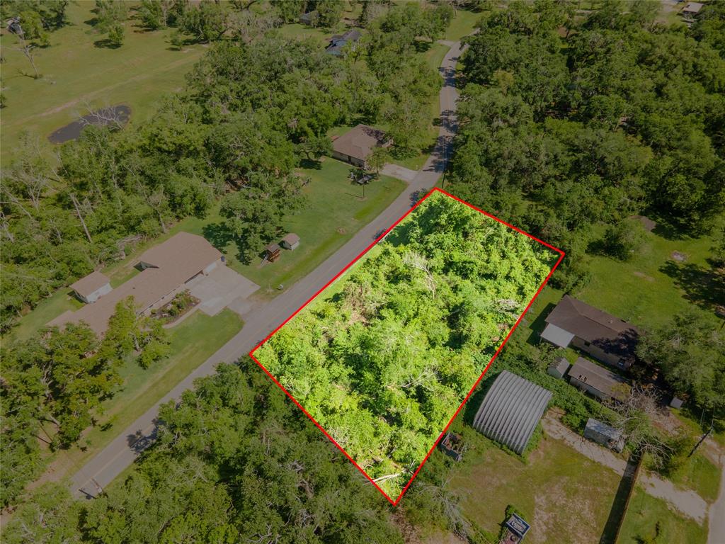 Robinhood Lane, Jones Creek, Texas image 4