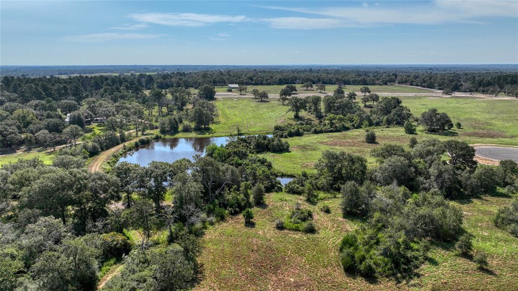 293 Bellwood Lake Lane, Bellville, Texas image 1