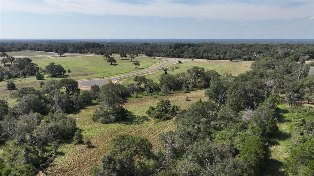 293 Bellwood Lake Lane, Bellville, Texas image 8