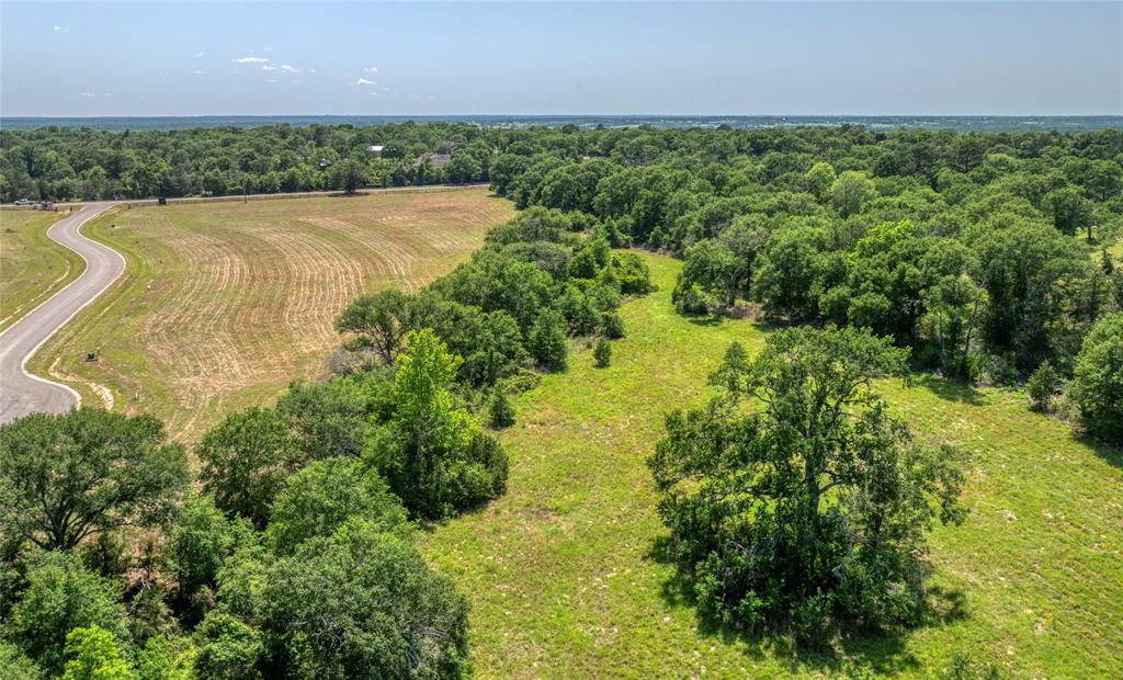293 Bellwood Lake Lane, Bellville, Texas image 2