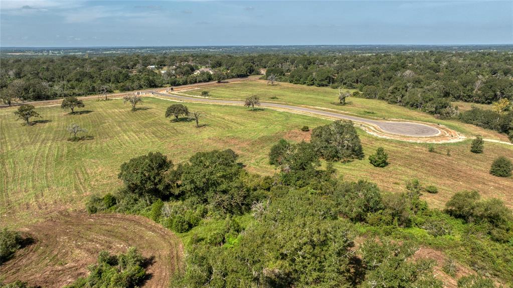 293 Bellwood Lake Lane, Bellville, Texas image 4