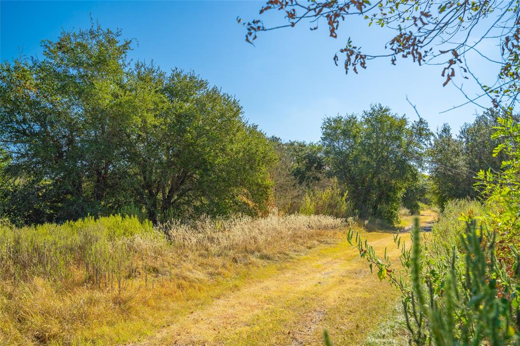 2001 Waldeck Road, Ledbetter, Texas image 20