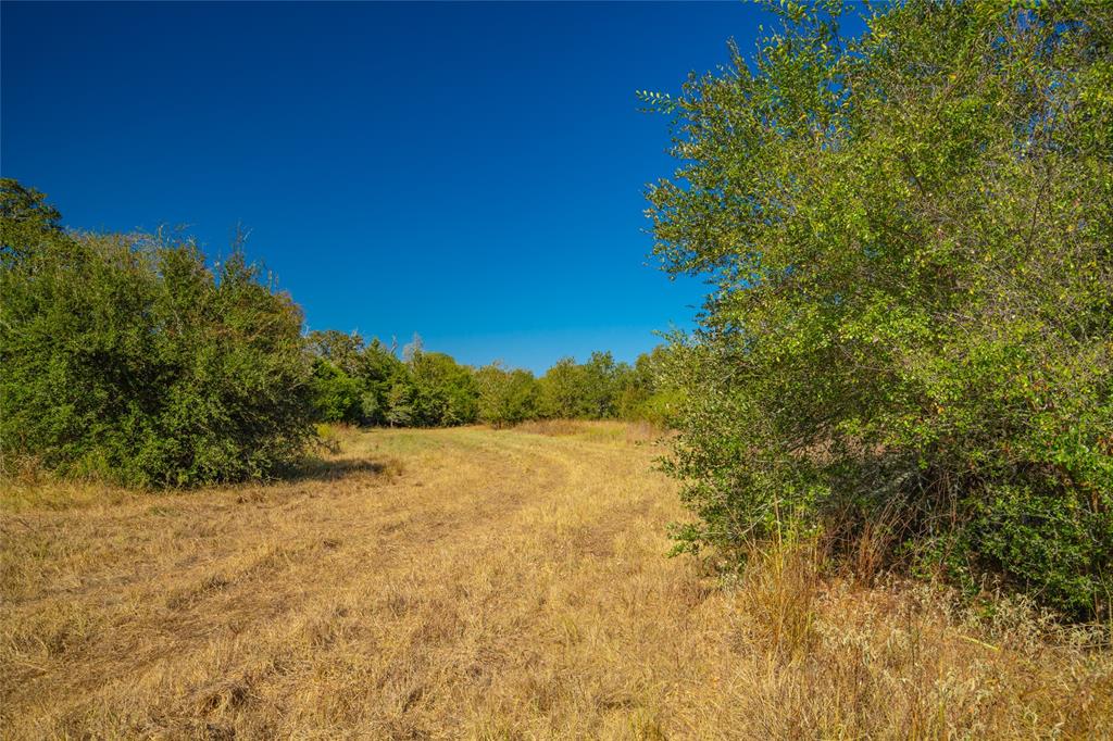 2001 Waldeck Road, Ledbetter, Texas image 33