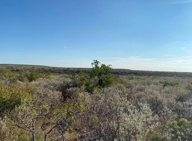 216 Neshoba Spur, Comstock, Texas image 3