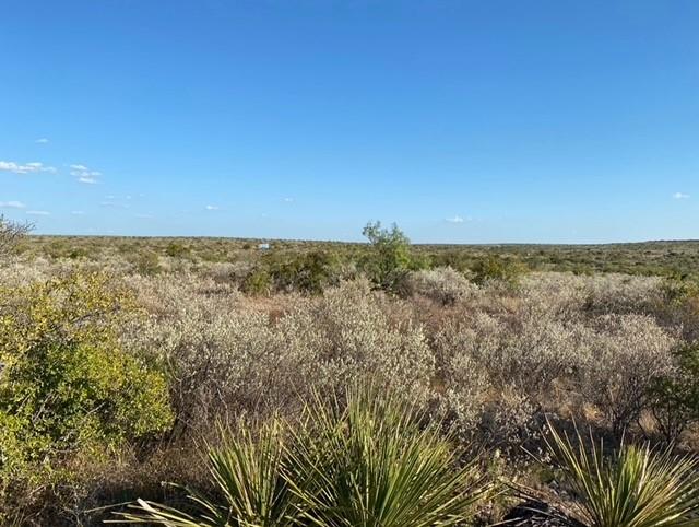 216 Neshoba Spur, Comstock, Texas image 4