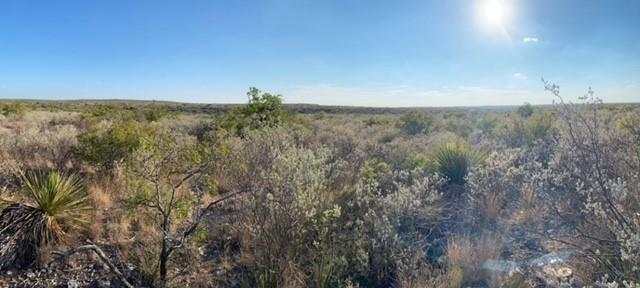 216 Neshoba Spur, Comstock, Texas image 1
