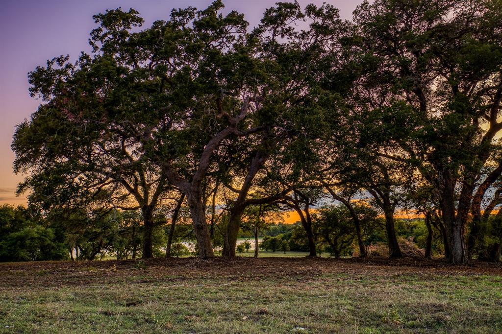 Bauer Rd Road, Fayetteville, Texas image 8