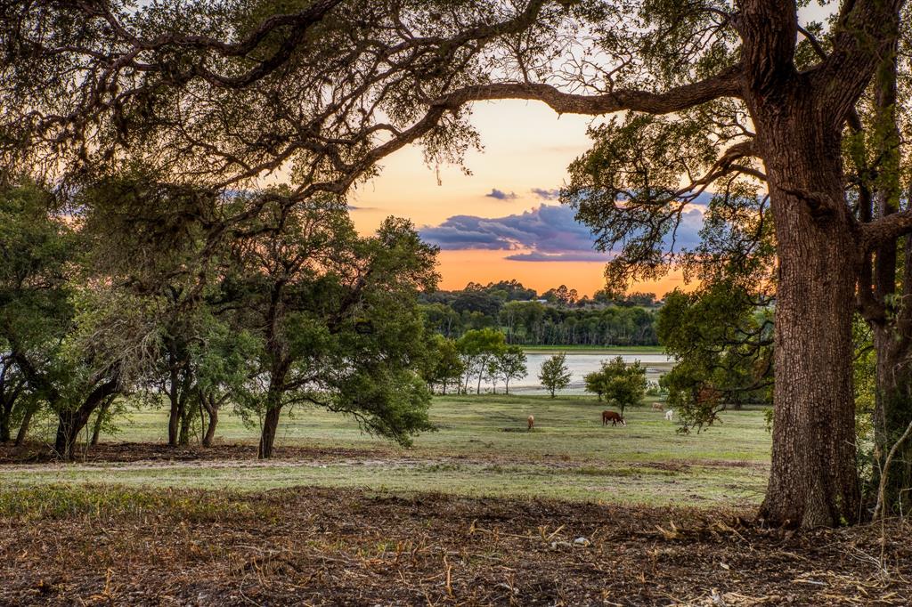 Bauer Rd Road, Fayetteville, Texas image 5