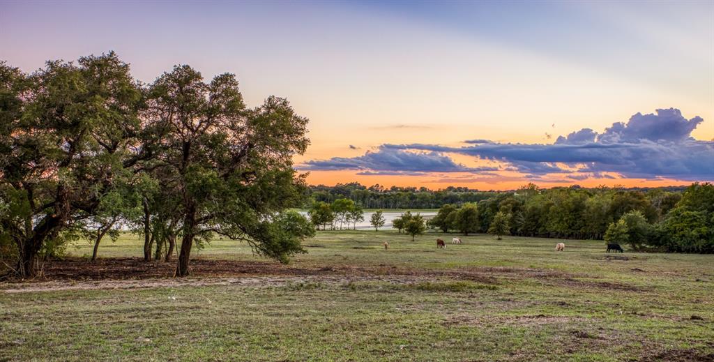 Bauer Rd Road, Fayetteville, Texas image 6